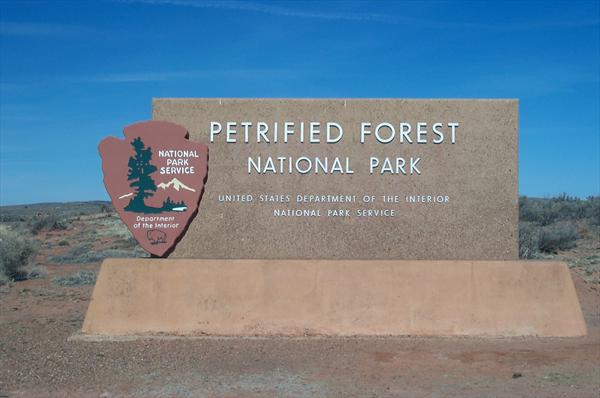 Petrified Forest Map Pdf