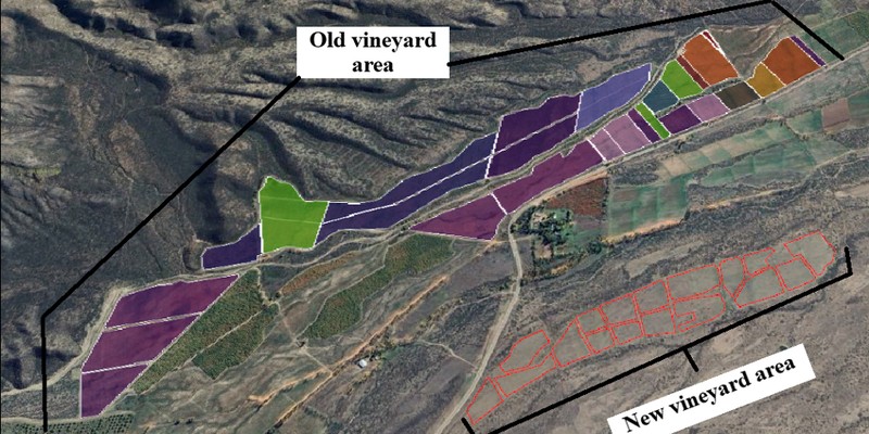 Old and new vineyard areas, Mendoza, Argentina
