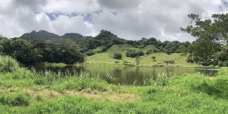 Laguna Arancibia, Costa Rica