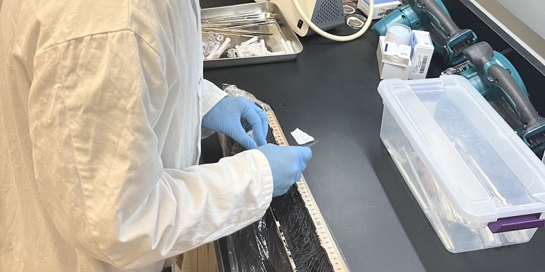 Describing and subsampling a split sediment core