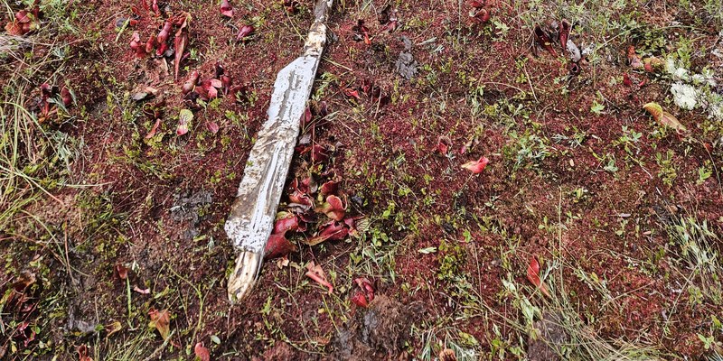 Peat coring at Sawtelle Heath, Maine