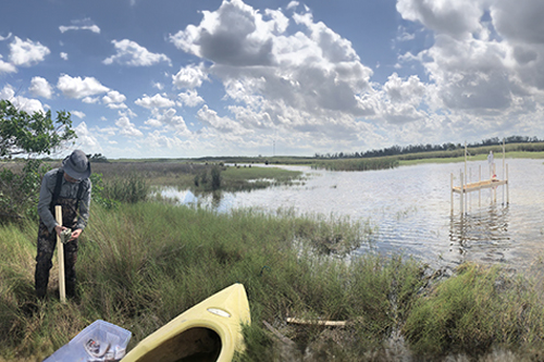 Preserving Everglades National Park: Peat Soils as a Key to Understanding Climate Change and Saving ‘River of Grass’