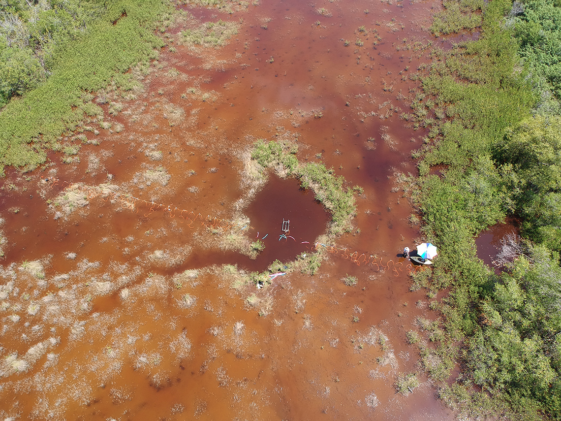 Testing the use of drone-based ground-penetrating radar measurements to investigate soil thickness and biogenic gas dynamics in the Everglades. ). This is pioneering work in collaboration with a GPR company who is still in the process of commercializing that unit.  